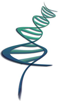 El modelo de negocio es el ADN del negocio - mprende.es