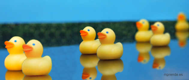 scamper: reordenar - mprende.es